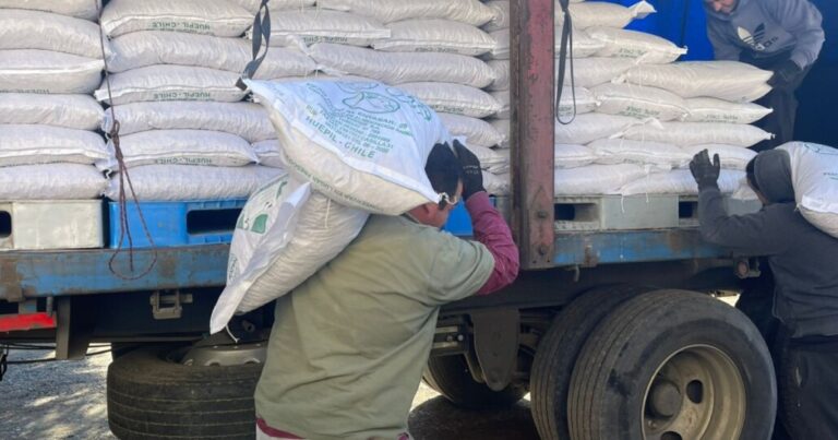 18 toneladas de alimento animal fueron recibidas en Nacimiento para los ganaderos tras las inundaciones