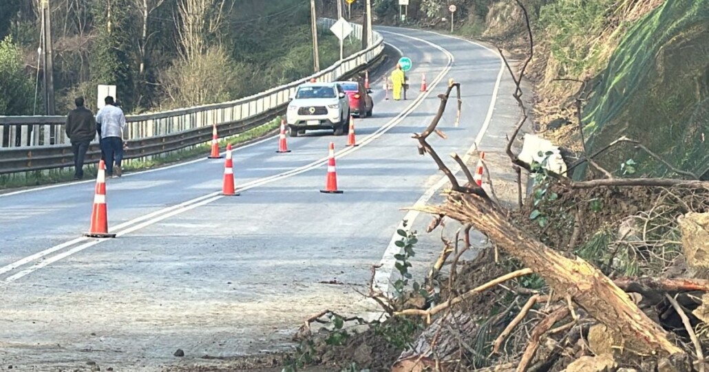 Solo horas habilitada: cierran parcialmente Ruta de la Madera por caída de árboles 