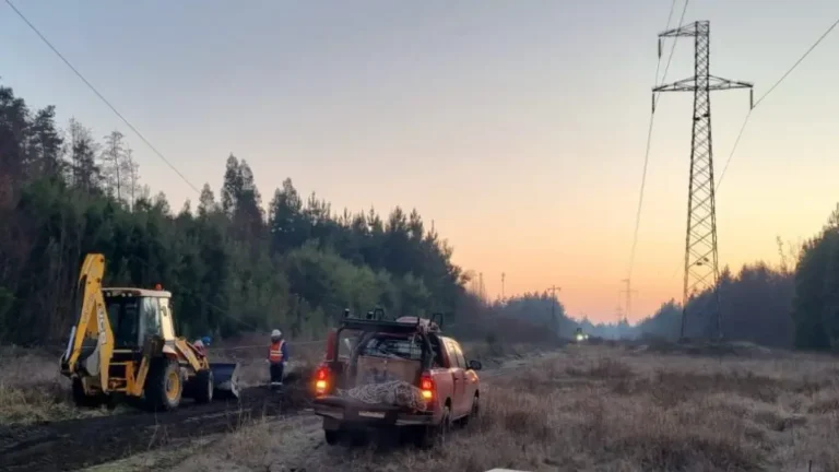 Millonario robo de cables deja sectores de tres comunas sin electricidad en el Biobío