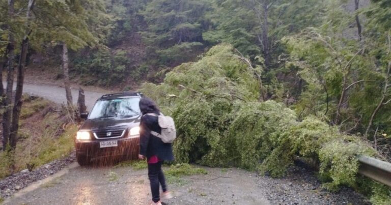 Alto Biobío se mantiene sin suministro eléctrico: Acceso a las zonas complica su reposición