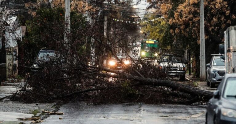 Persona muere al interior de un auto que fue aplastado por árbol que cayó en Estación Central