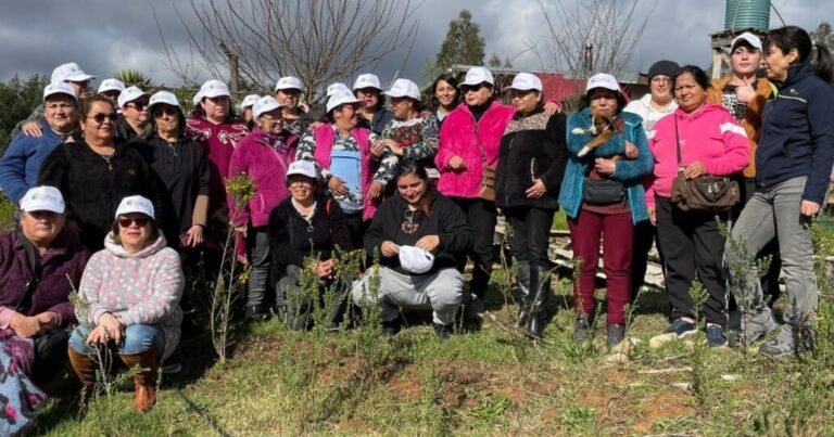 Regenera Biobío: Familias de cinco comunas reforestan áreas devastadas por incendios de 2023