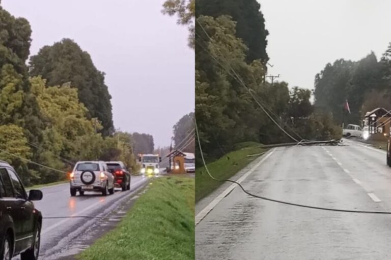 Ruta Los Ángeles – Puente Perales se encuentra cortada tras caída de árboles y postes