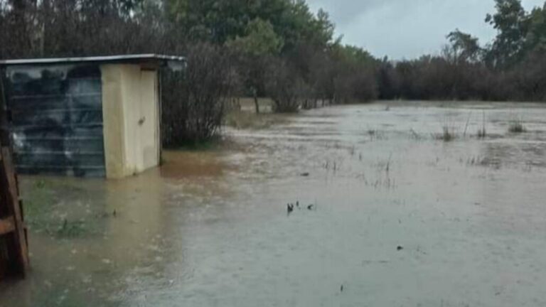 Desborde de aguas servidas obliga a decretar riesgo sanitario en algunas zonas de Angol