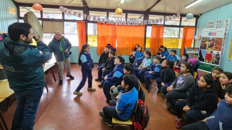 Niños aprenden del cuidado del bosque nativo con juegos en el Biobío