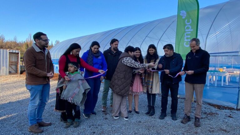 60 familias del sector Alhuelemu ya cuentan con agua potable en Mulchén