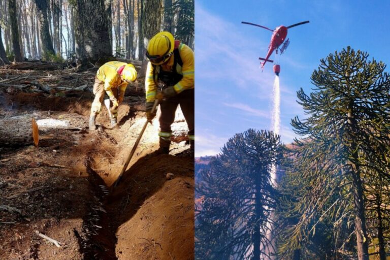 CONAF Abre inscripciones para nuevos brigadistas para la temporada de incendios forestales en el Biobío