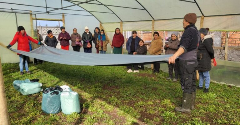 Familias de Villa Génesis de Los Ángeles florecen gestionando un nuevo invernadero comunitario