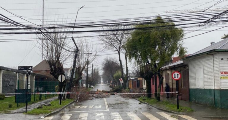 Miles de clientes sin suministro eléctrico en medio del sistema frontal en la provincia de Biobío