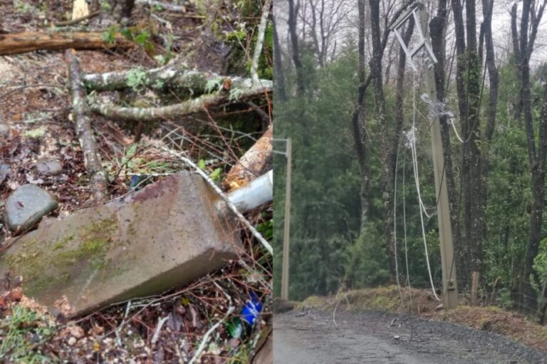 13 días sin electricidad: Sector Quilapalos en Quilaco sufre graves consecuencias