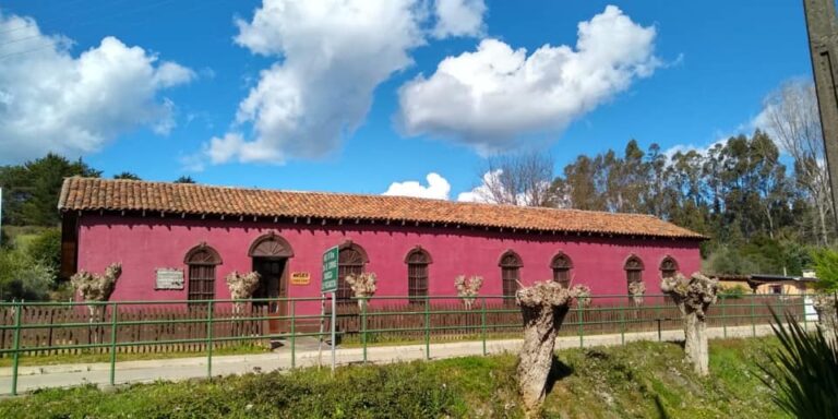 Museo “Casa Cano”: La historia viva dentro del patrimonio de Rere en Yumbel