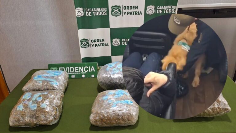 Sujeto fue detenido con varios kilos de droga en Cabrero: fue interceptado en un bus interregional