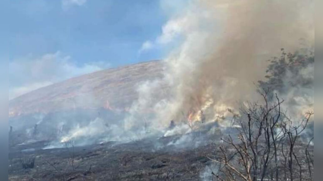 Decretan Alerta Roja para Isla de Pascua por incendio forestal