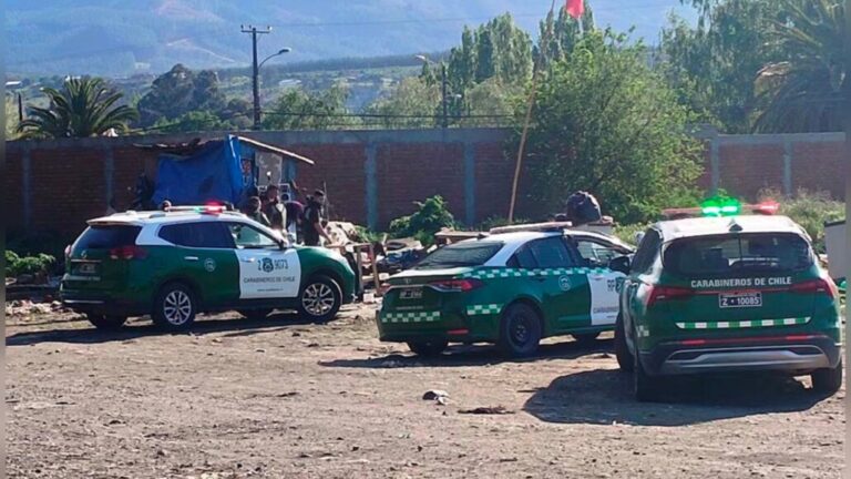 Riña entre dos mujeres en Angol terminó con una atacada por perros y la otra detenida