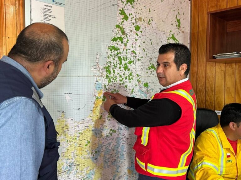 Bienes Nacionales Biobío y Conaf trabajan en conjunto en la prevención de los incendios forestales