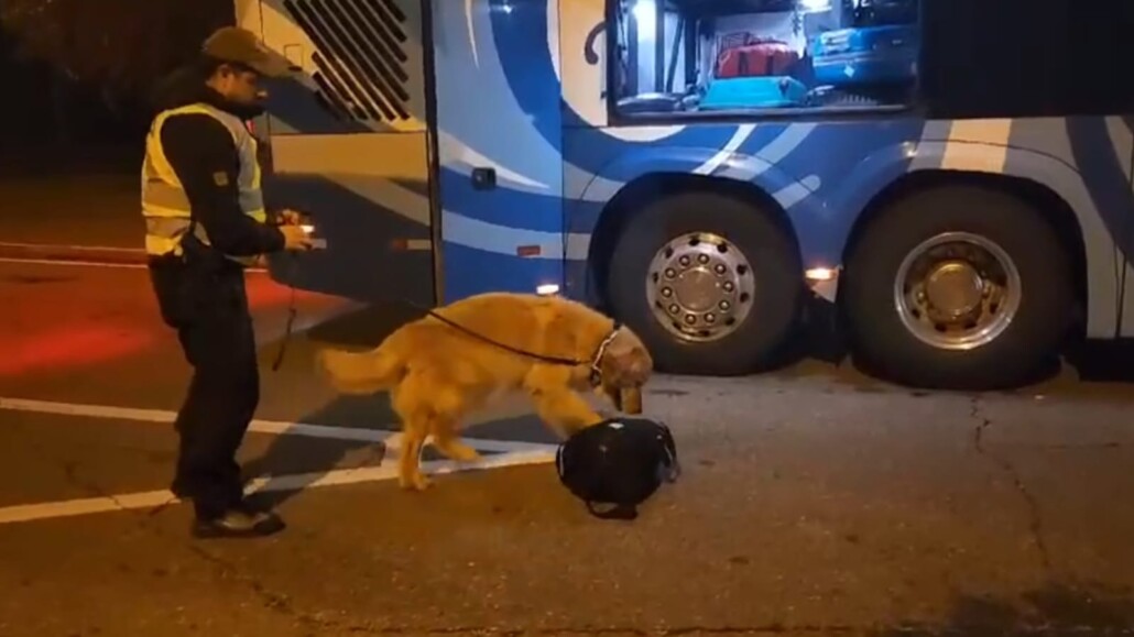 En libertad quedó sujeto detenido con dos kilos de marihuana en Cabrero