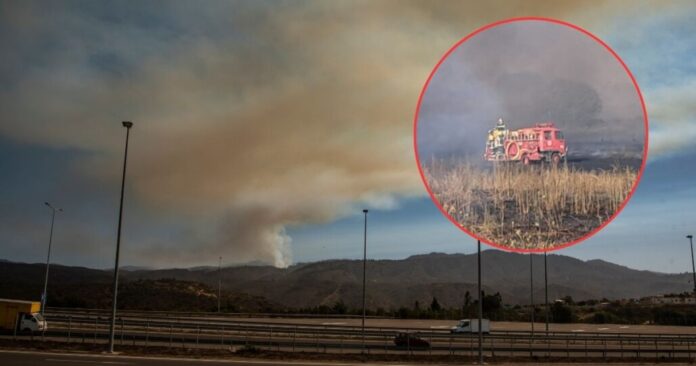 Anuncian corte parcial en Ruta 5 por incendio forestal en sector Santa Elisa, Región Ñuble