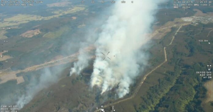 Senapred llamó a evacuar población de Los Álamos por incendio forestal