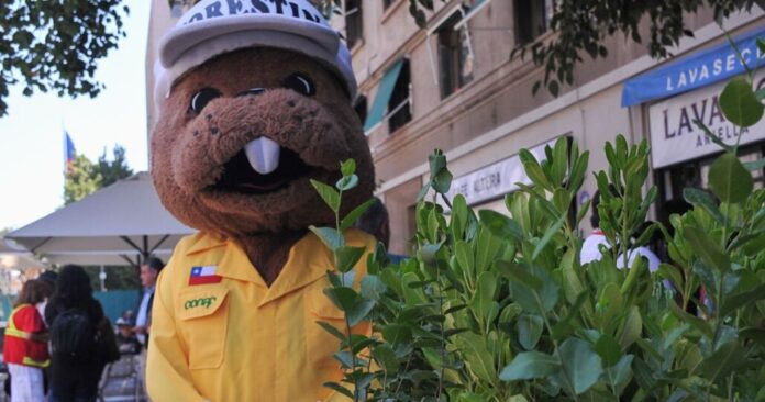 Conaf ordenó el cierre de parques nacionales este fin de semana por alerta de altas temperaturas: Así afectaría al Biobío