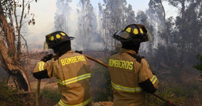 Destapan nuevos y reveladores mensajes entre bombero y autoridad de Conaf en medio del megaincendio de Valparaiso